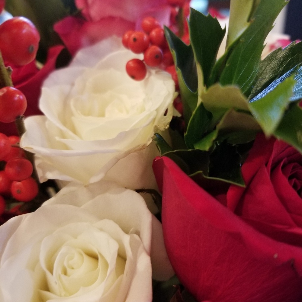 Meet your Posher, Alicia